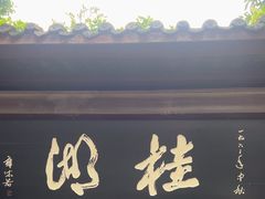 -桂湖森林公园