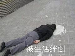 -好利来(内双楠店)