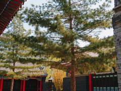 -长安寺