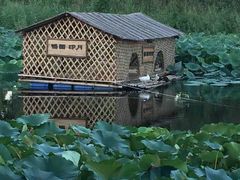 -白洋淀景区