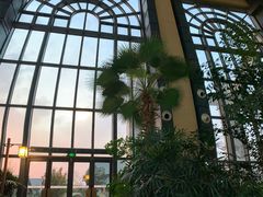 -郑州银基黄帝宫御温泉