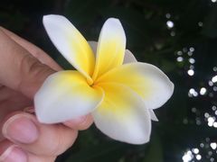 iphone_upload_pic-厦门日月谷温泉渡假村