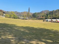 -黄陂区野村谷景区