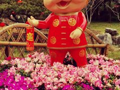 -枫桥景区