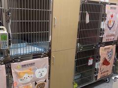 -瑞鹏宠物医院·骨外科·心肾科·肿瘤科(九亭店)