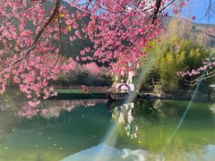 -蝴蝶泉公园