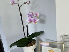 -范咖啡·沙拉鲜食(前海观峰阁店)