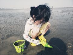 -南汇嘴观海公园