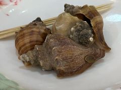 -鸿达渔港