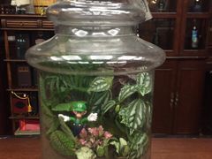 -莫奈花园餐厅(麦迪逊花园店)