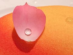 -翠贝卡&Mama Kelly Brunch Coffee(河西店)