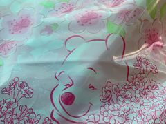 -龙阳路磁悬浮列车总站-停车场