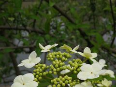 -白塘生态植物园