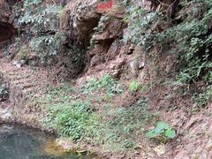 -飞霞风景名胜区