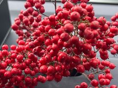 -大张烙馍村(三环南路旗舰店)