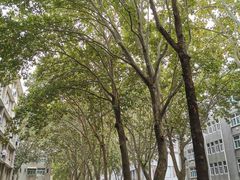 -山东师范大学(千佛山校区)