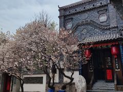 -老张烤羊(王哥庄店)