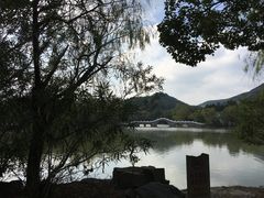 -天下玉苑
