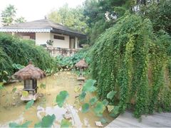 庭院-杭州千岛湖开元度假村