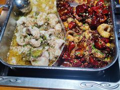 -齐祺渔锅(升龙店)