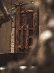 -缦spa