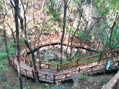 -大岭沟猕猴桃谷风景区