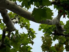 -方快-照相馆(上海富绅时代广场店)