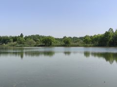 -溱湖国家湿地公园