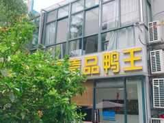 -湖庭壹品鸭王·传统北京烤鸭·别墅私房菜·庭院宵夜(江宁店)