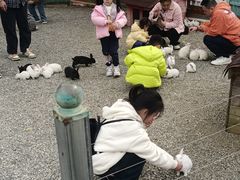 -云漫湖生态度假公园