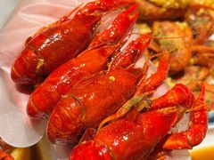 -杨氏青龙虾·羊蝎子(托乐嘉店)