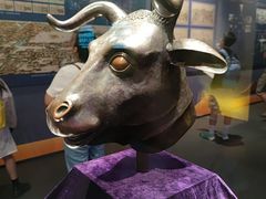 -广西壮族自治区博物馆