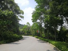 -广州市帽峰山景区