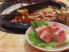 -蜀大侠火锅(森兰花园城店)