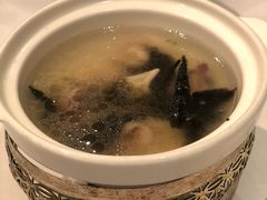 石耳老鸡汤-同庆楼(大钟寺店)