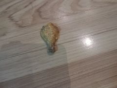 -北京观赏动物医院·24小时大型综合·猫专科·异宠专科
