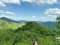 -大岭沟猕猴桃谷风景区