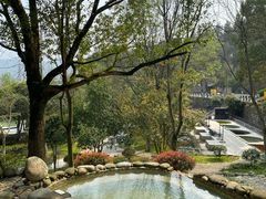 -三江森林温泉度假区