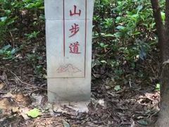 -南山植物园