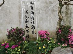 -拙政园