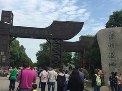 -溱湖国家湿地公园