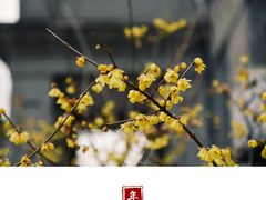 -山东师范大学(千佛山校区)