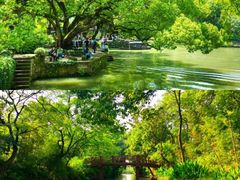 -西溪国家湿地公园