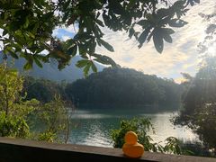 -广州市流溪河国家森林公园
