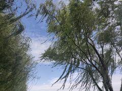 -百脉泉景区