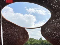 -东寨港红树林旅游区