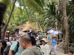 -海南分界洲岛旅游区