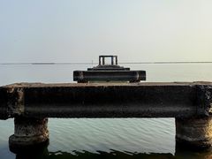 -贡湖湾湿地公园