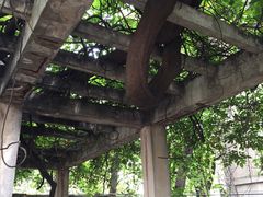 -大德寺双塔