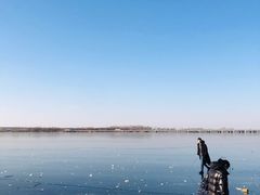 -丁香湖公园